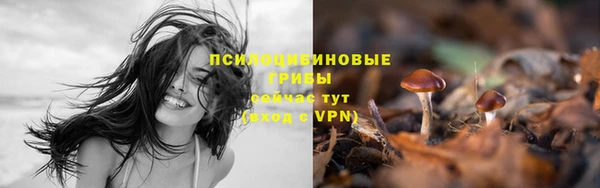 марихуана Краснослободск